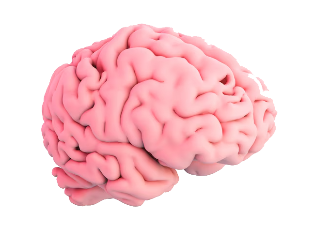 conditions-and-treatment-img